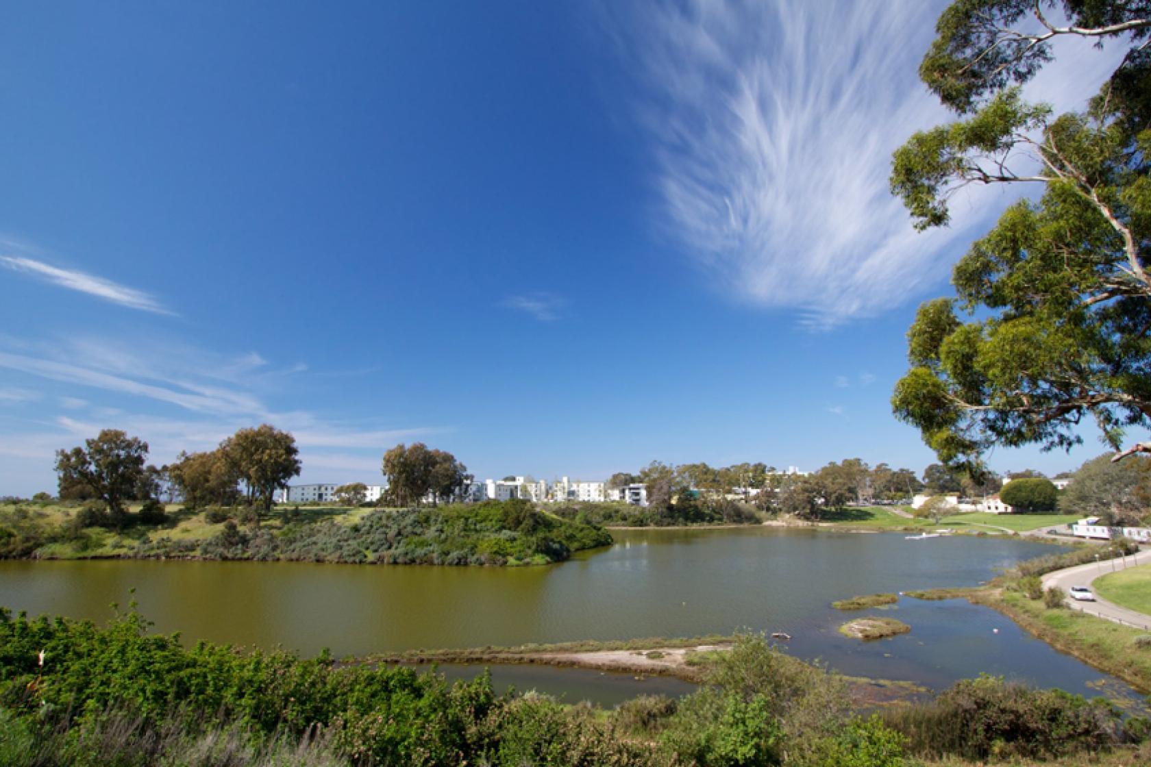 Manzanita Village Scenic