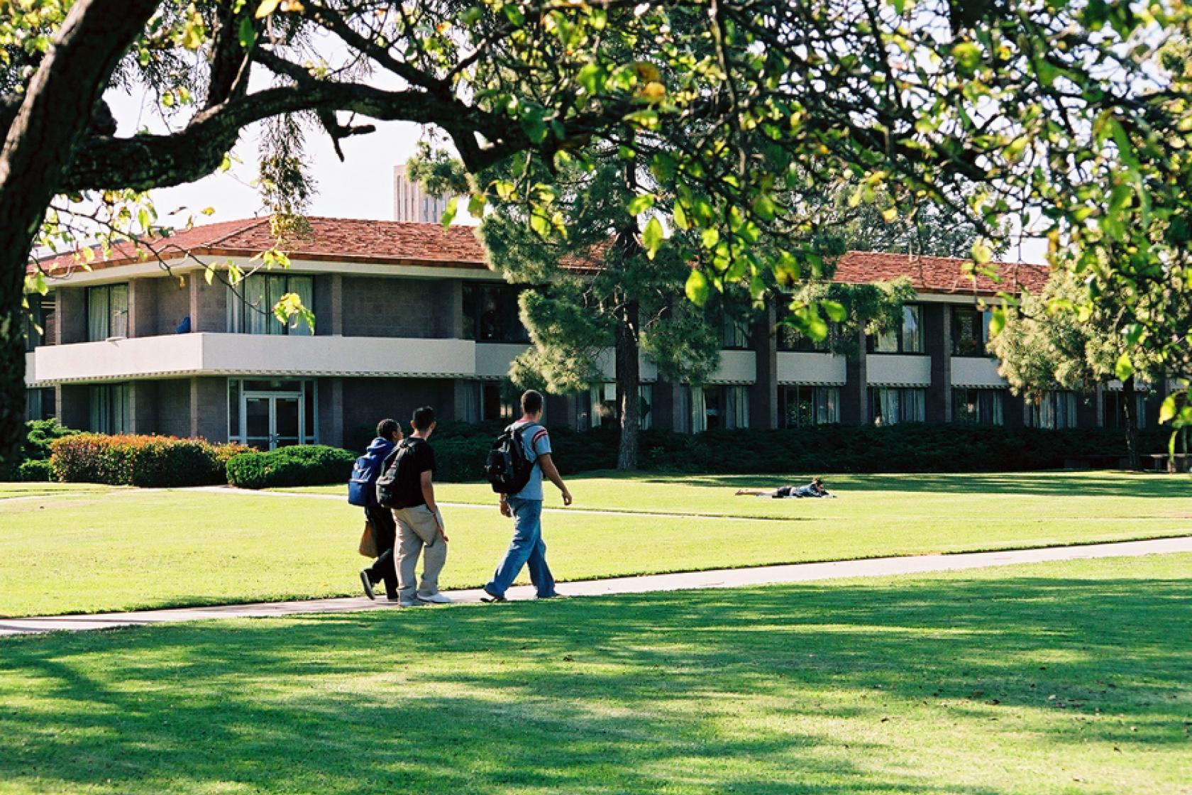 lawn at Santa Rosa