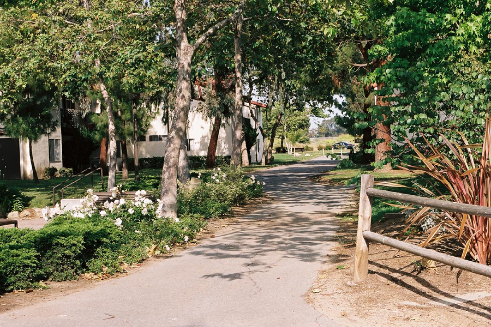 outside area at Santa Ynez