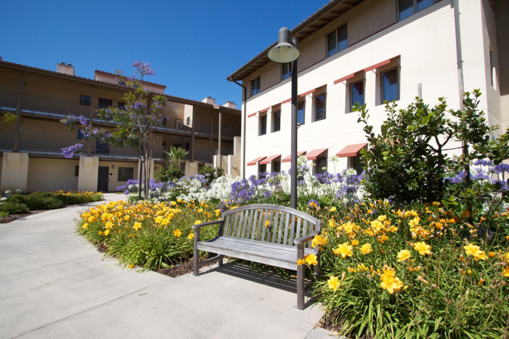 flowers in the courtyard